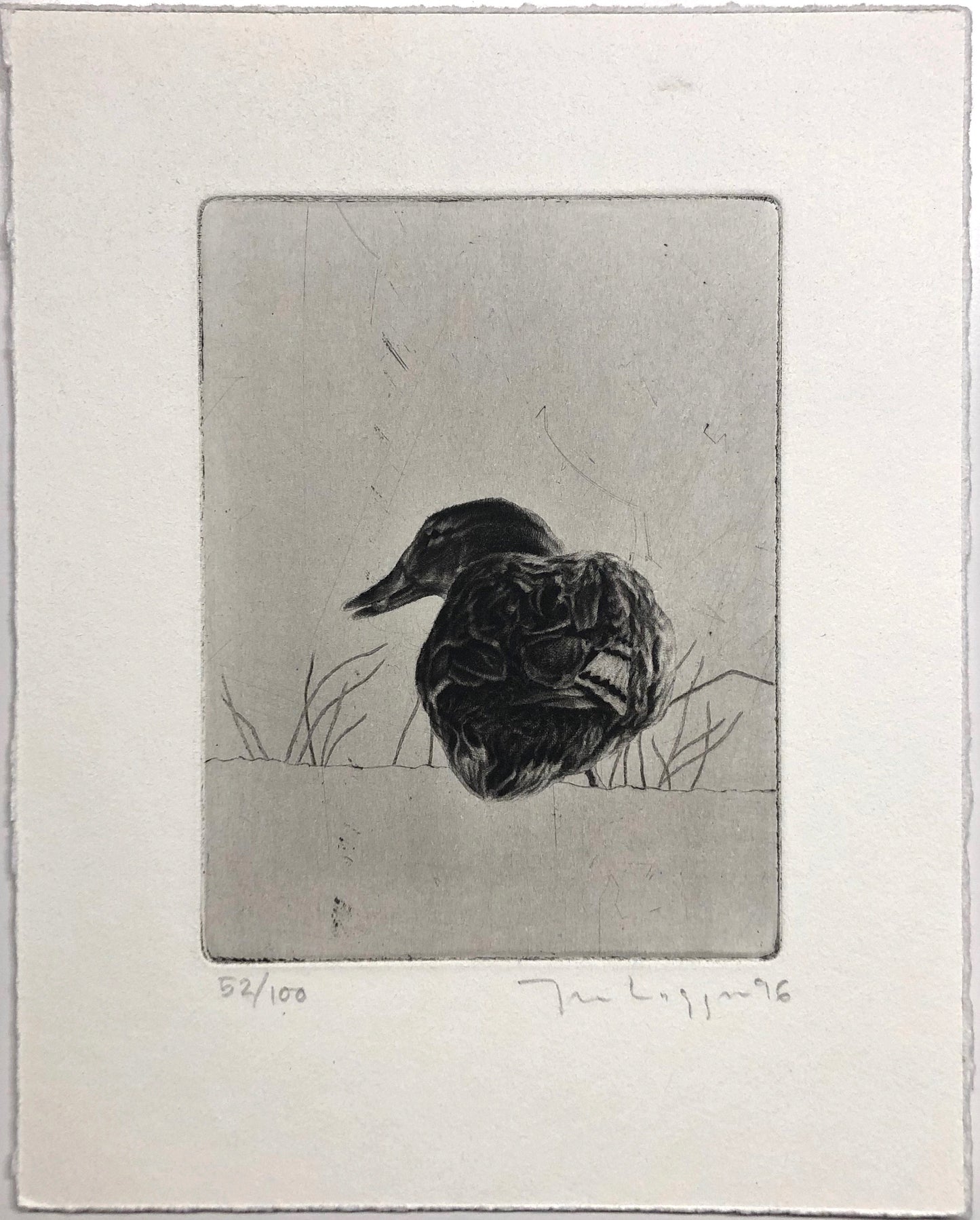 "Anna And" Jan Laggar