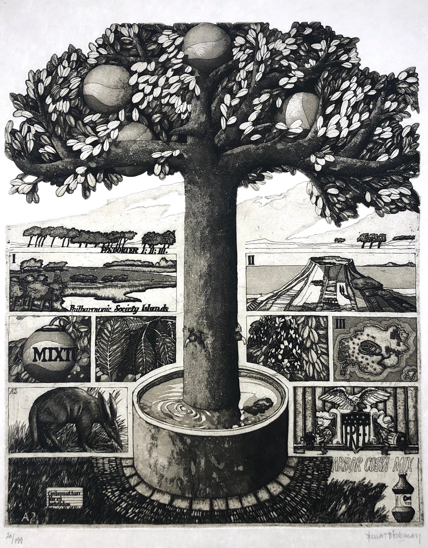 'Arbor Costa Mix' Bengt Böckman