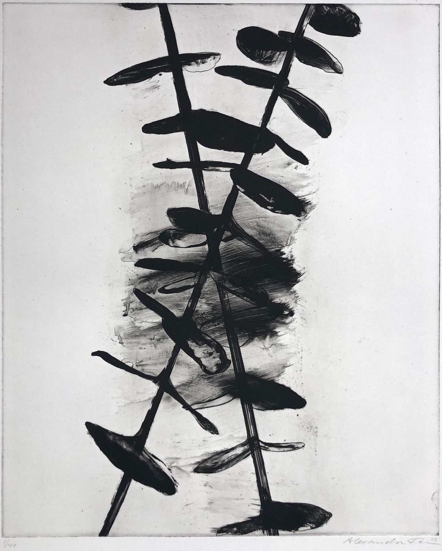 'Cross' Alexandra Kern