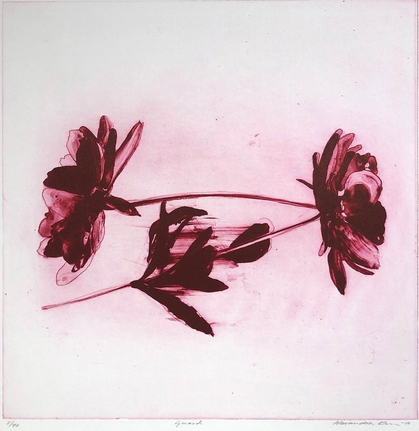 'Guard' Alexandra Kern