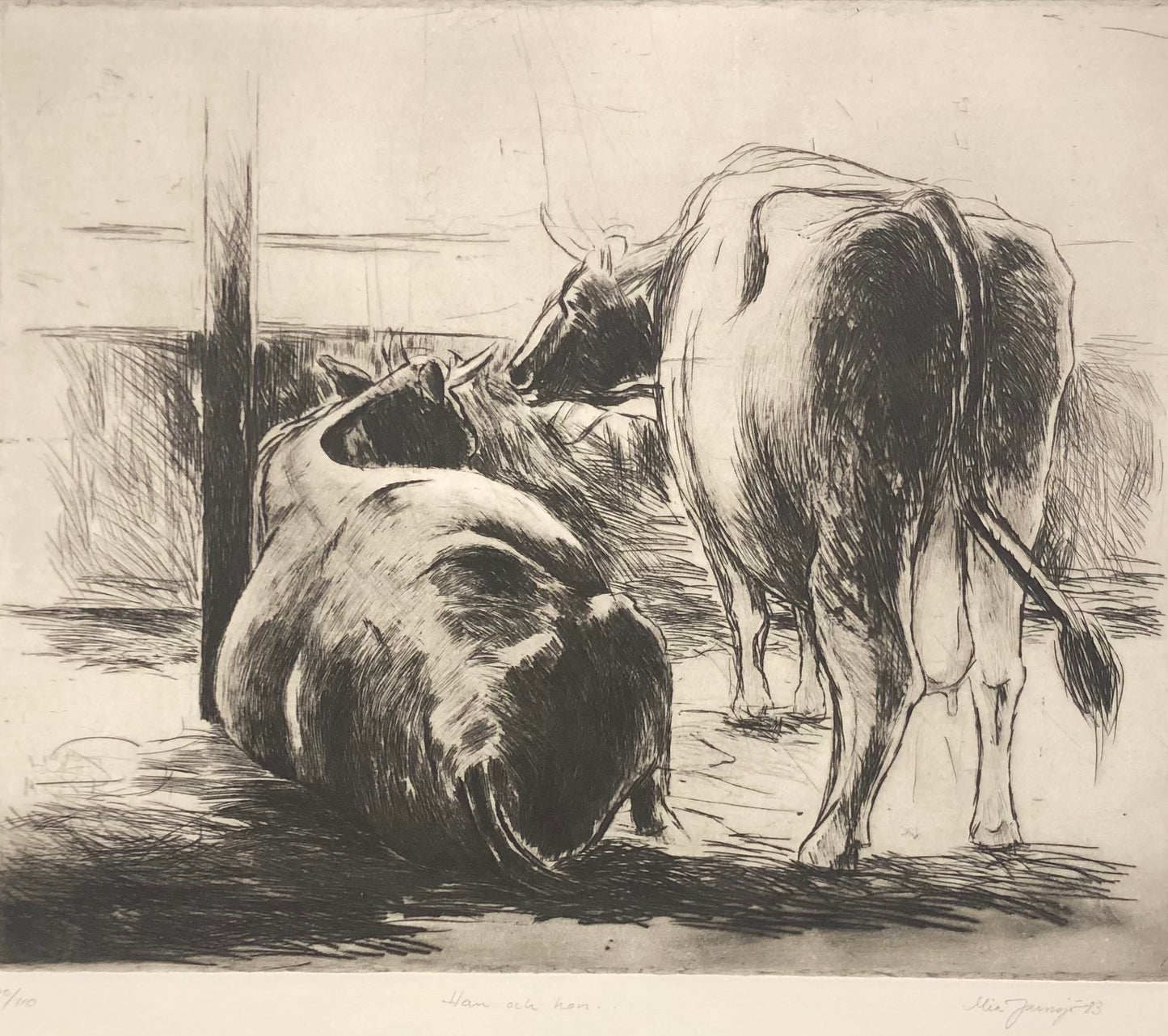 "Han och hon..." Mia Jarnsjö