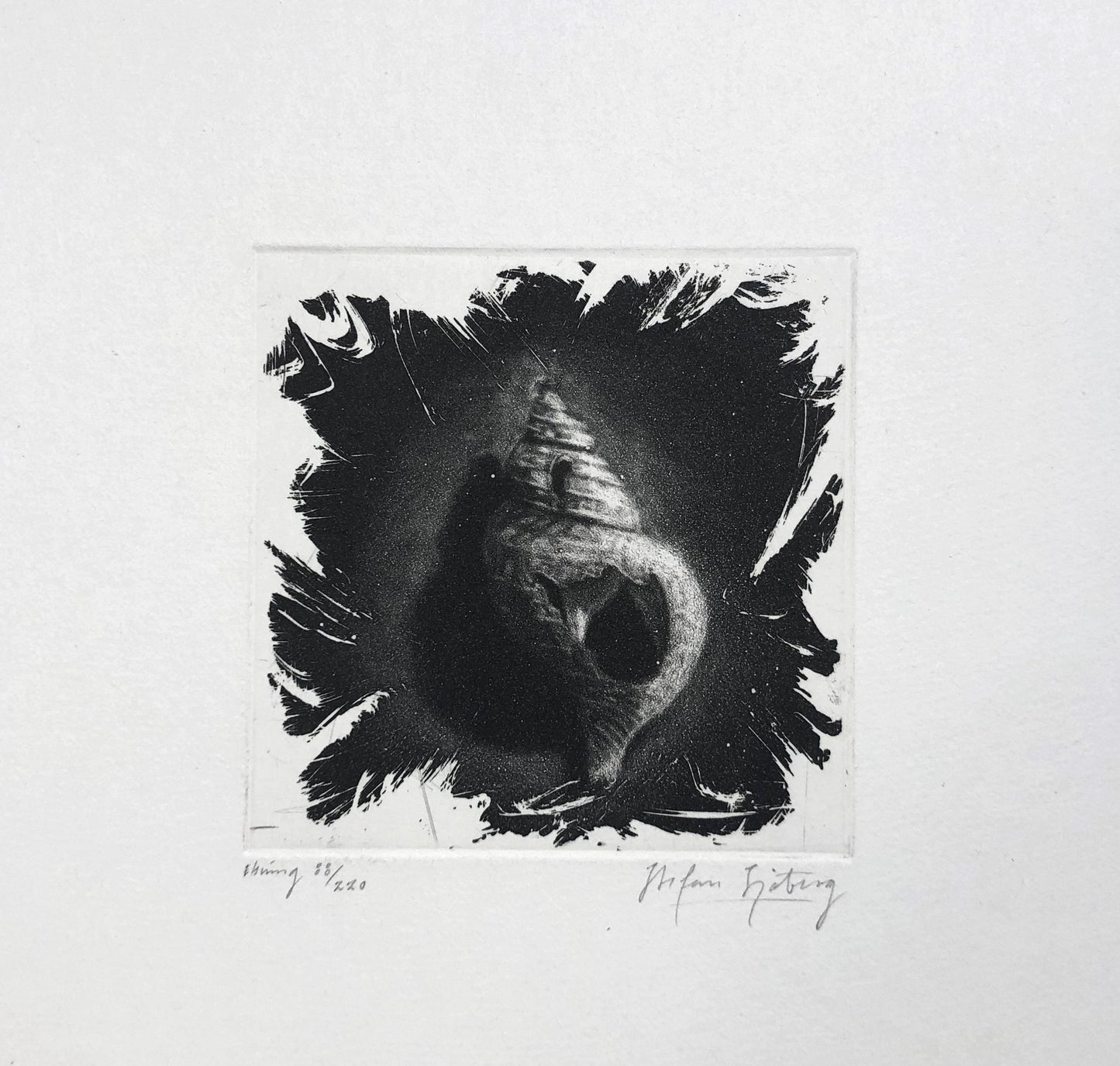 'Nature morte' Stefan Sjöberg