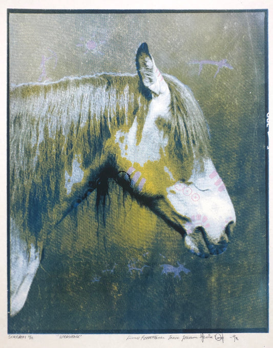 "Nordsvensk" Henrik Nord