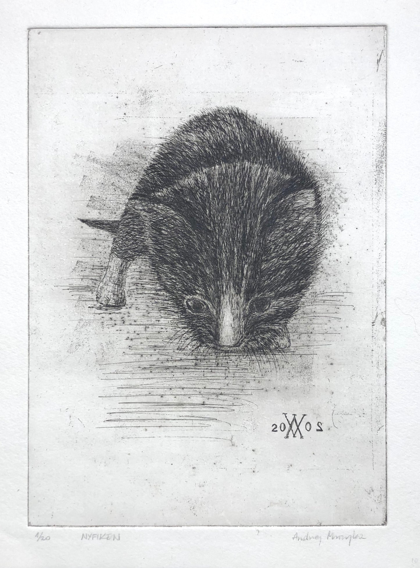 'Nyfiken' Andrej Muzyka