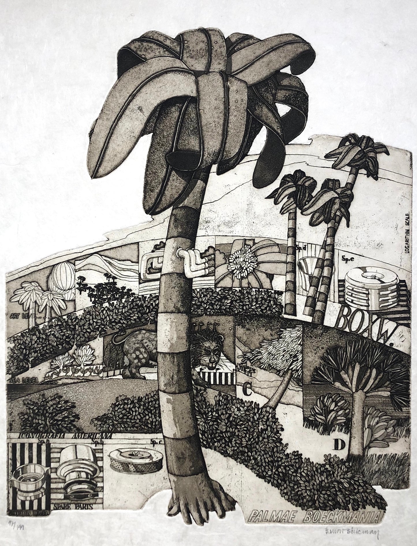 'Palmae Boeckmanja' Bengt Böckman