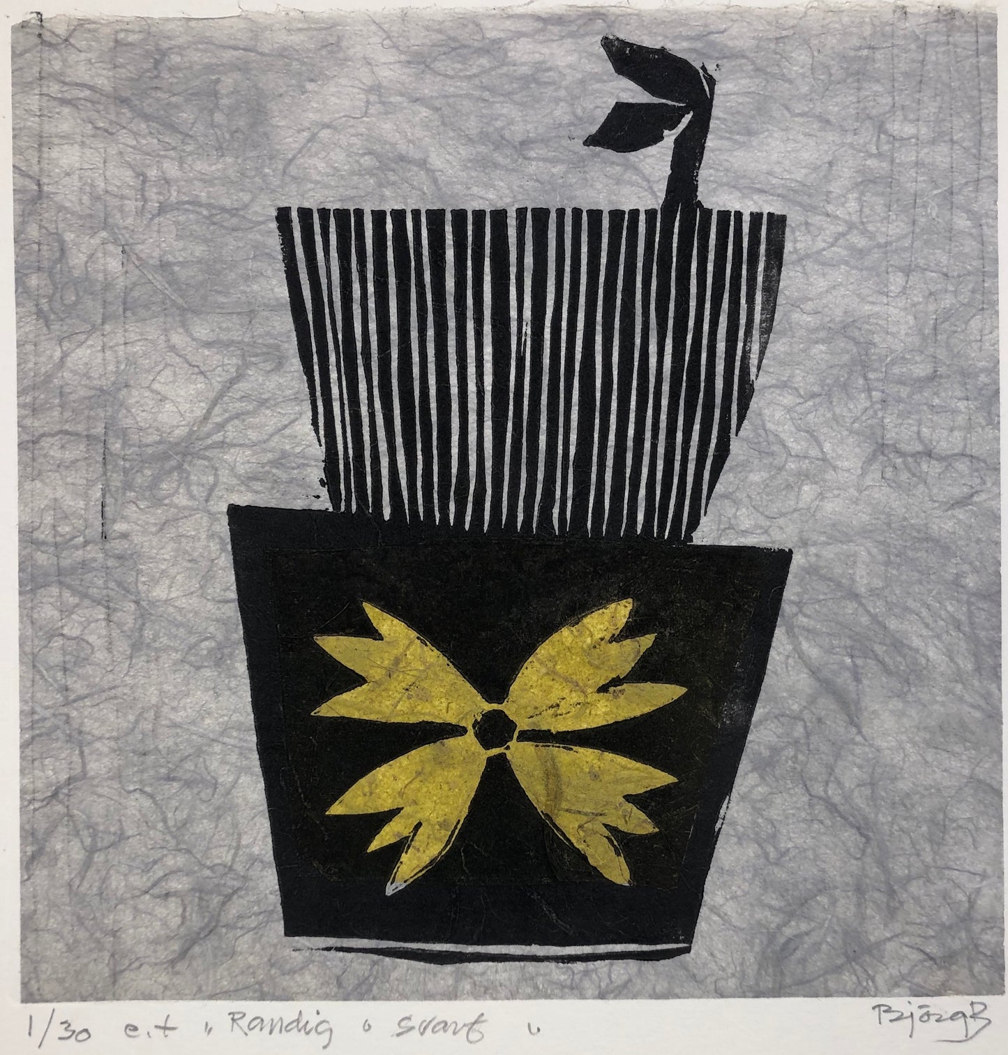 'Randig och svart' Björg Benediksen Román