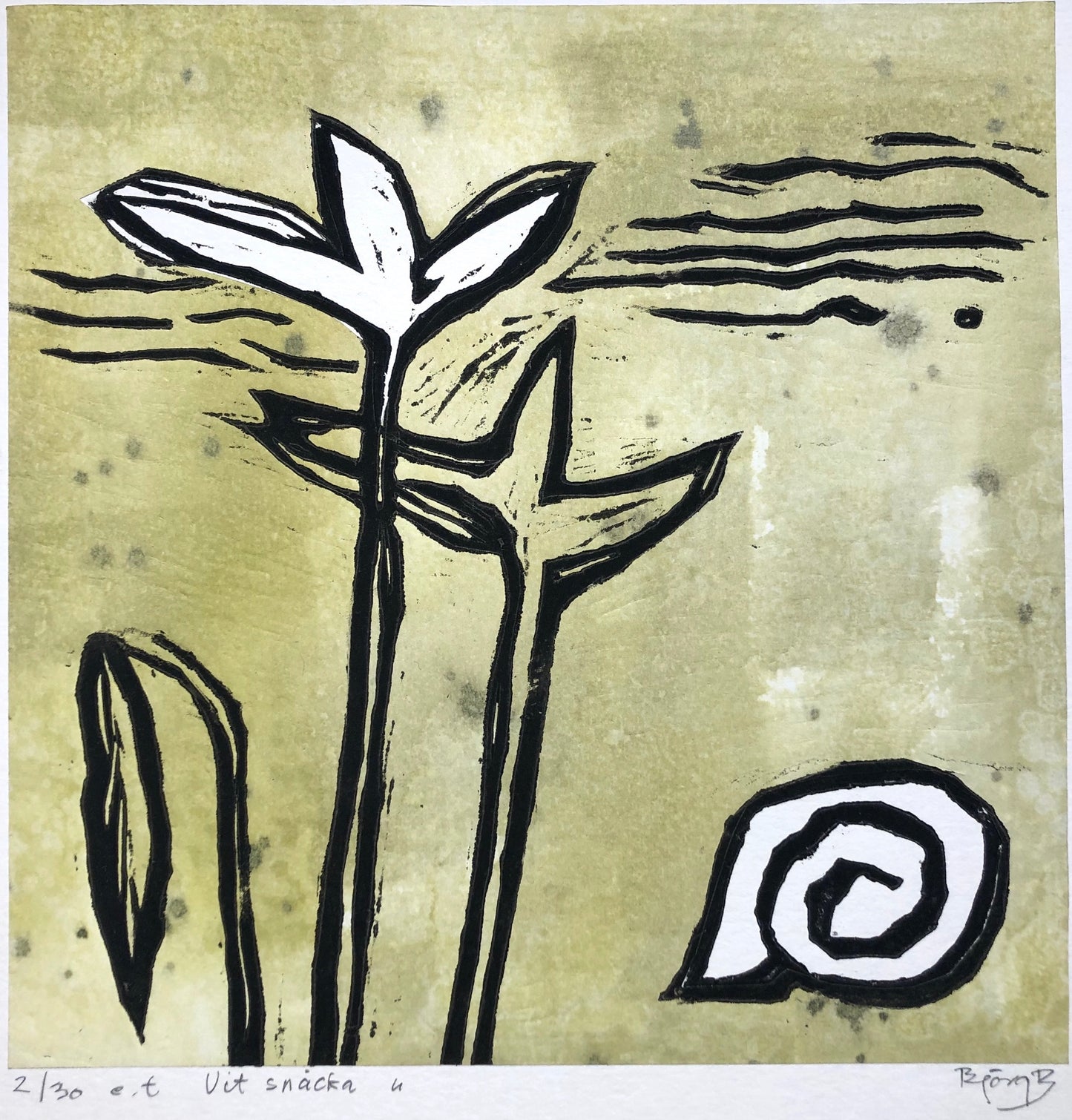 'Vit snäcka' Björg Benediksen Román