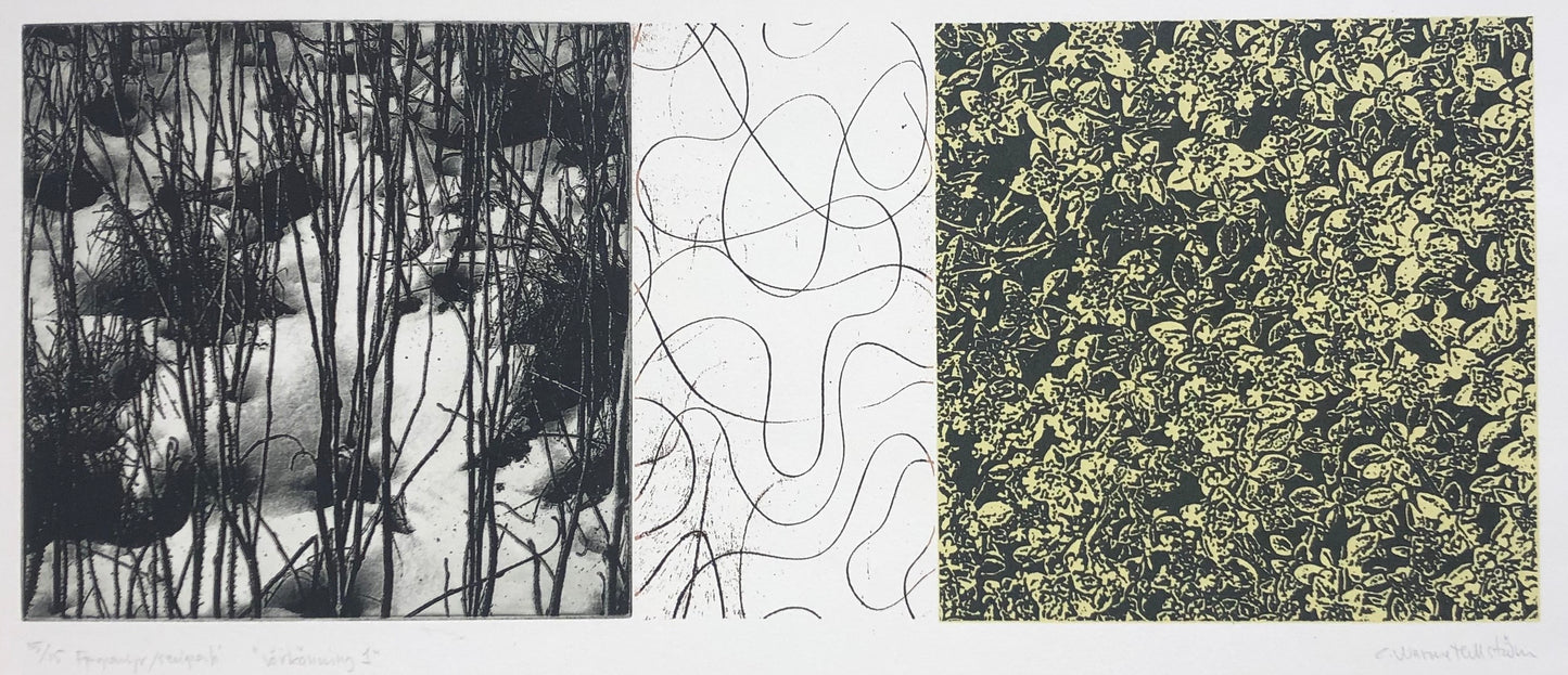 "Vårklänning 1" Catharina Warne-Hellström