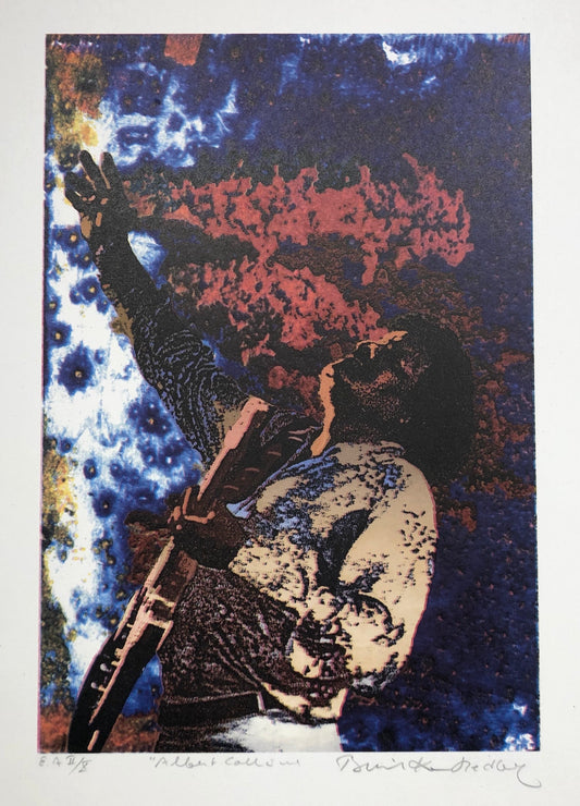 'Albert Collins' Bertil Kaa Hedberg