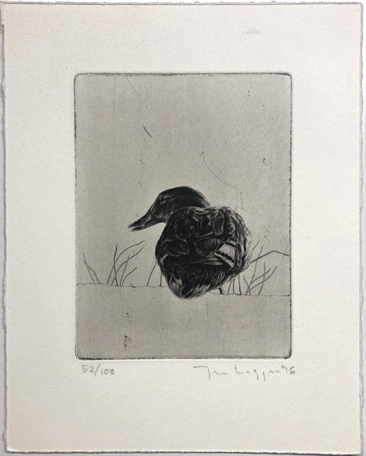 "Anna And" Jan Laggar