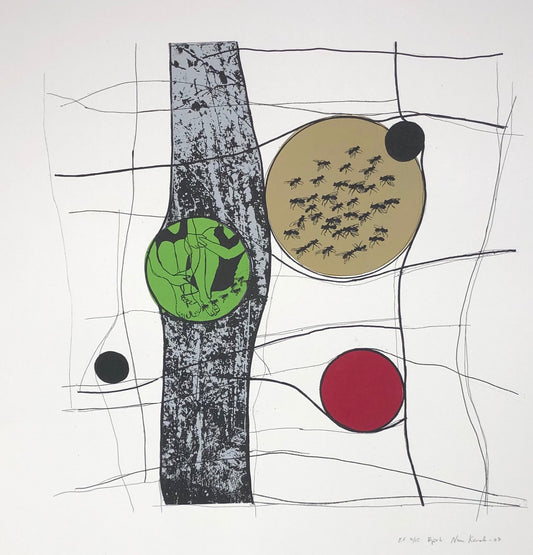 "Björk" Nina Kerola