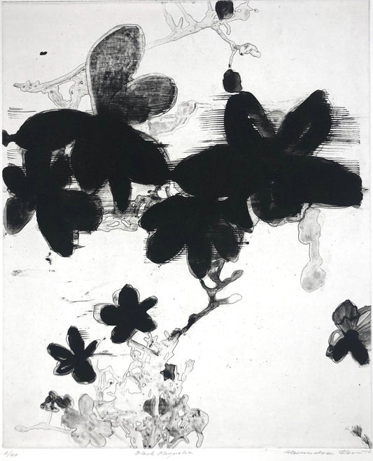 'Black magnolia' Alexandra Kern