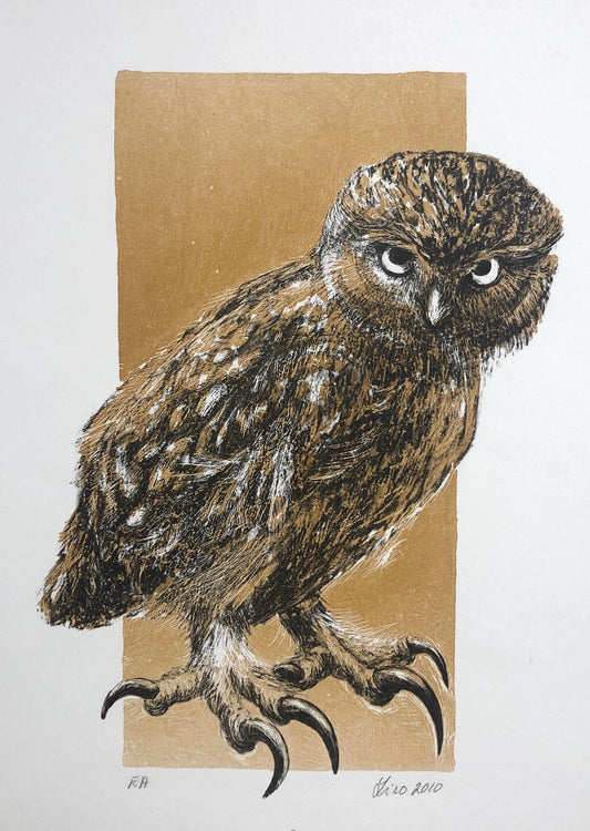 Utan titel, Lisbeth Olsson