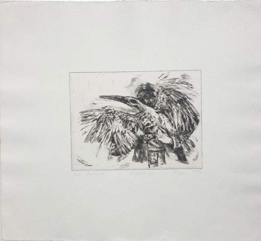 'Fågelfänge' Ole Drebold