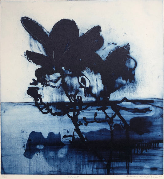 'Float' Alexandra Kern