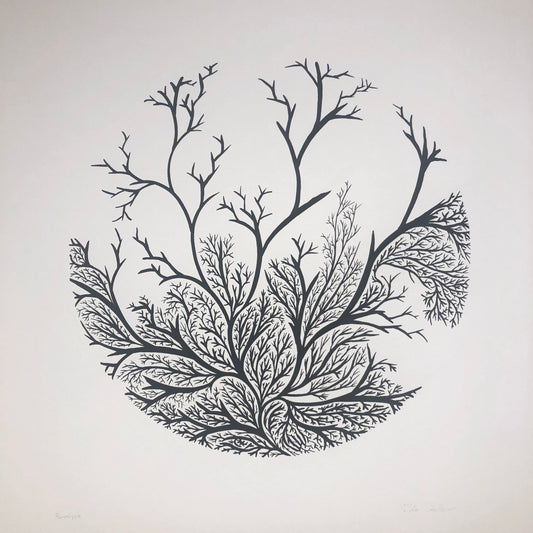 "Förgreningar" Ida Adler