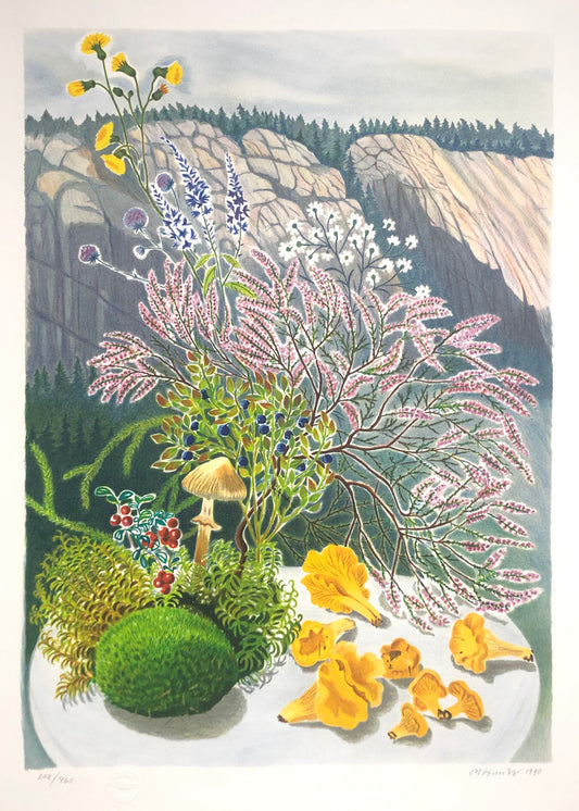 "Fynd från Kynnefjäll" Mona Huss Walin