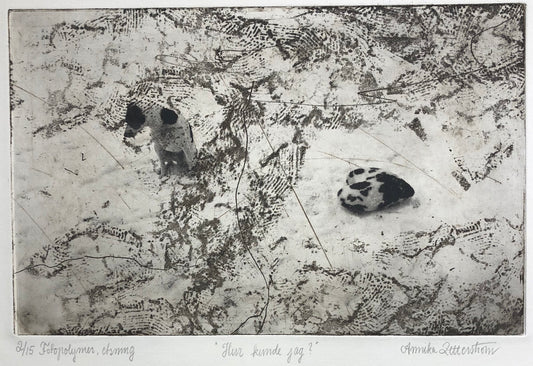 'Hur kunde jag?' Annika Zetterström