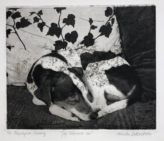 'Jag drömmer om' Annika Zetterström