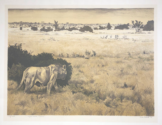 "Lejonhane i Tsavo" Folke Lind