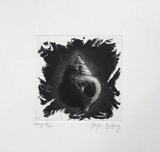 'Nature morte' Stefan Sjöberg