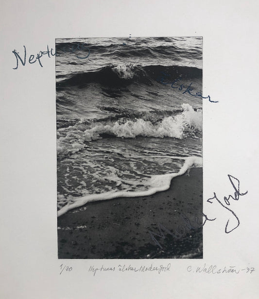 "Neptunus älskar moder jord" Charlotta Wallström