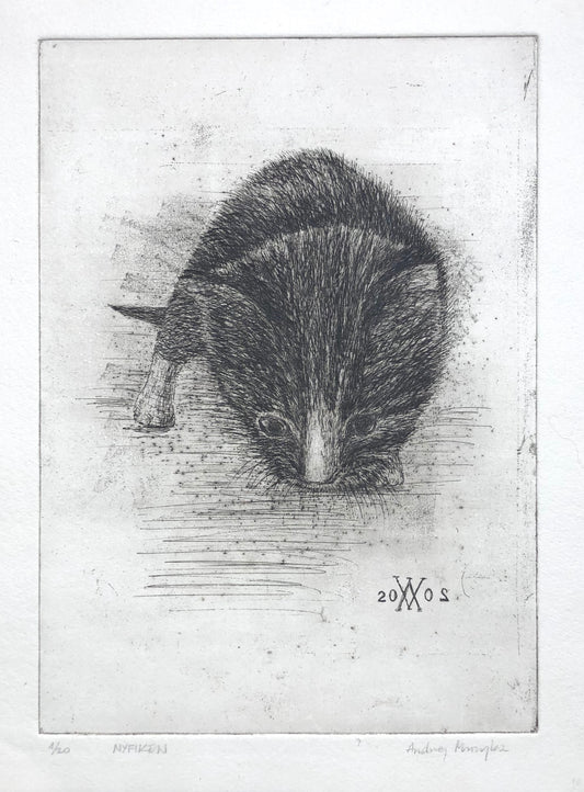 'Nyfiken' Andrej Muzyka