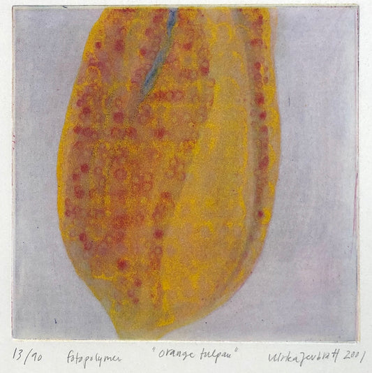 'Orange Tulpan' Ulrika Jevbratt