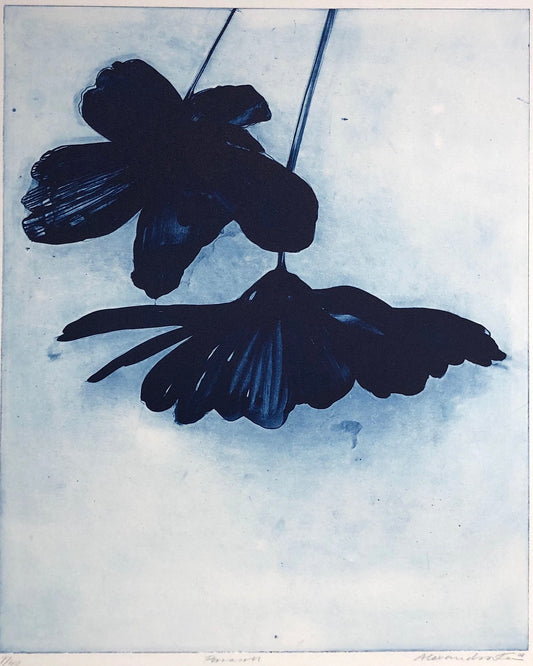 'Parasoll' Alexandra Kern