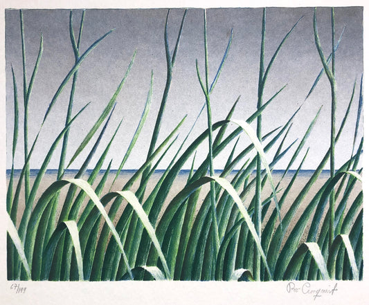 'På stranden' Bo Cronqvist