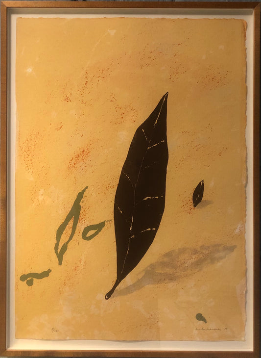 "Provence" Lennart Aschenbrenner