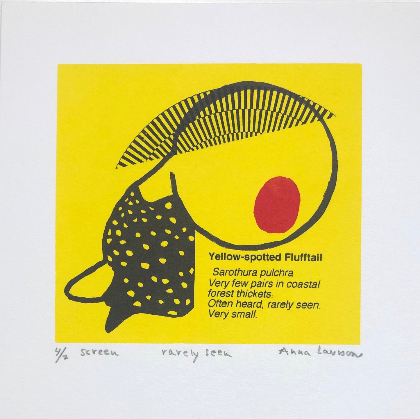 'Rarely seen' Anna Larsson