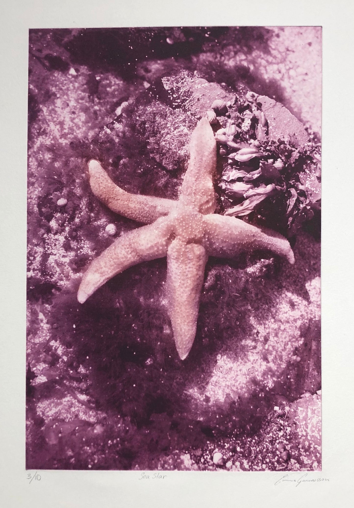 "Sea star" Emma Gunnarsson