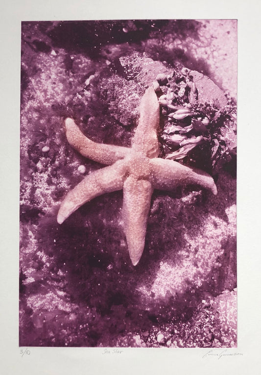 "Sea star" Emma Gunnarsson