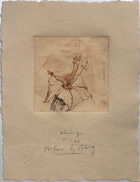 'Ståndaren visar tro hopp och kärlek' Stefan Sjöberg