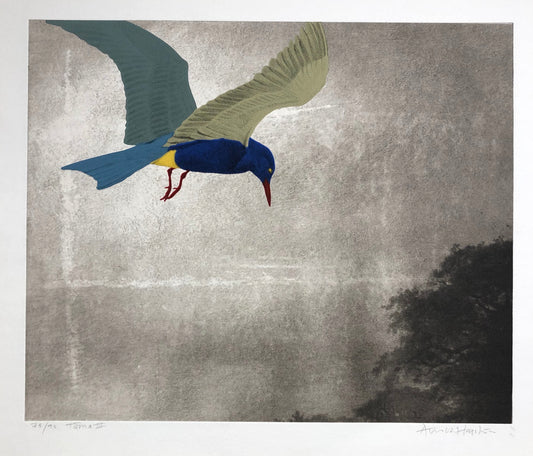 'Tärna III' Arnold Hagström