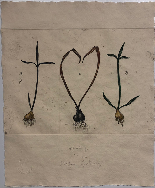 'Tro, hopp och kärlek, 3 lökar' Stefan Sjöberg