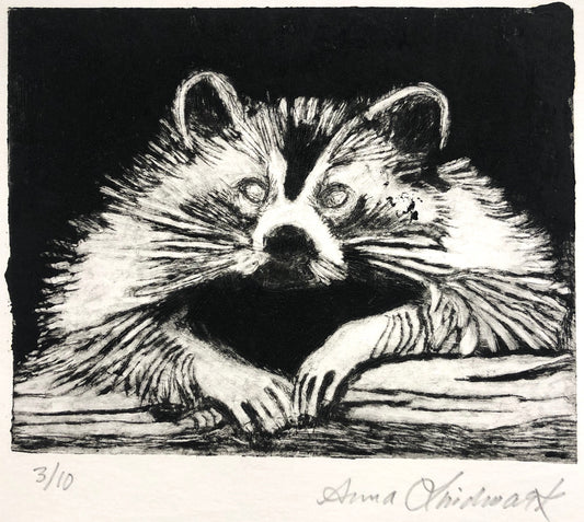 'Tvättbjörn' Anna Lindmark