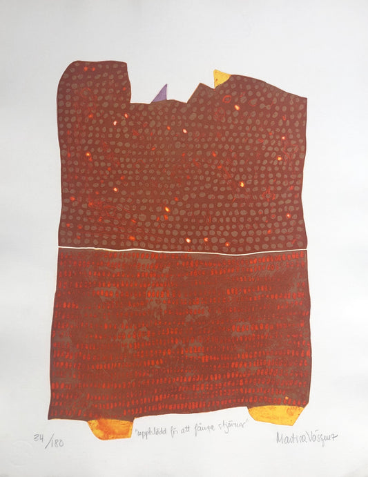 "Uppklädd för att fånga stjärnor" Martisa Vasques