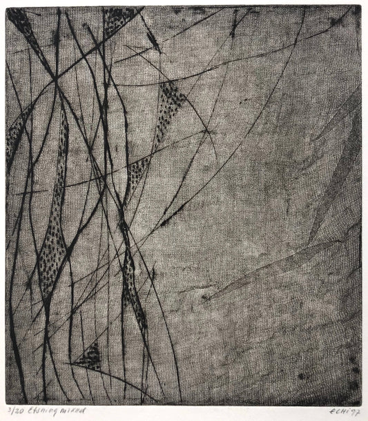 Utan titel, Ewa Echi Åberg