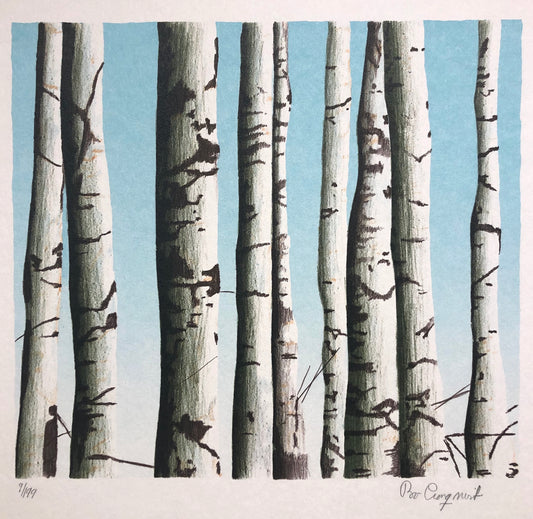 Utan titel, Bo Cronqvist