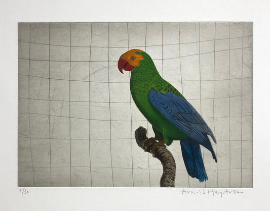 Utan titel, Arnold Hagström