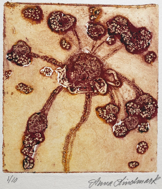 'Utslagen blomma' Anna Lindmark