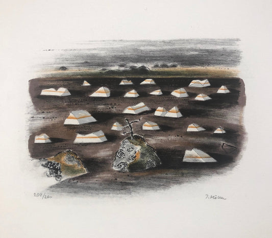 "Uttorkad myrmark" Ingegerd Möller