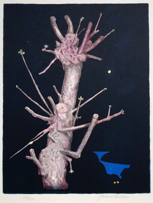 "Vårvinternatt" Göran Folcker