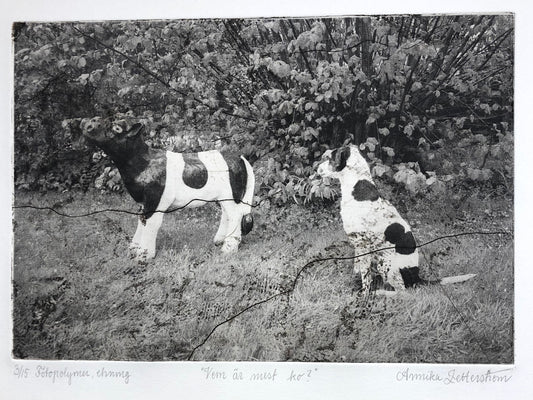 'Vem är mest ko?' Annika Zetterström