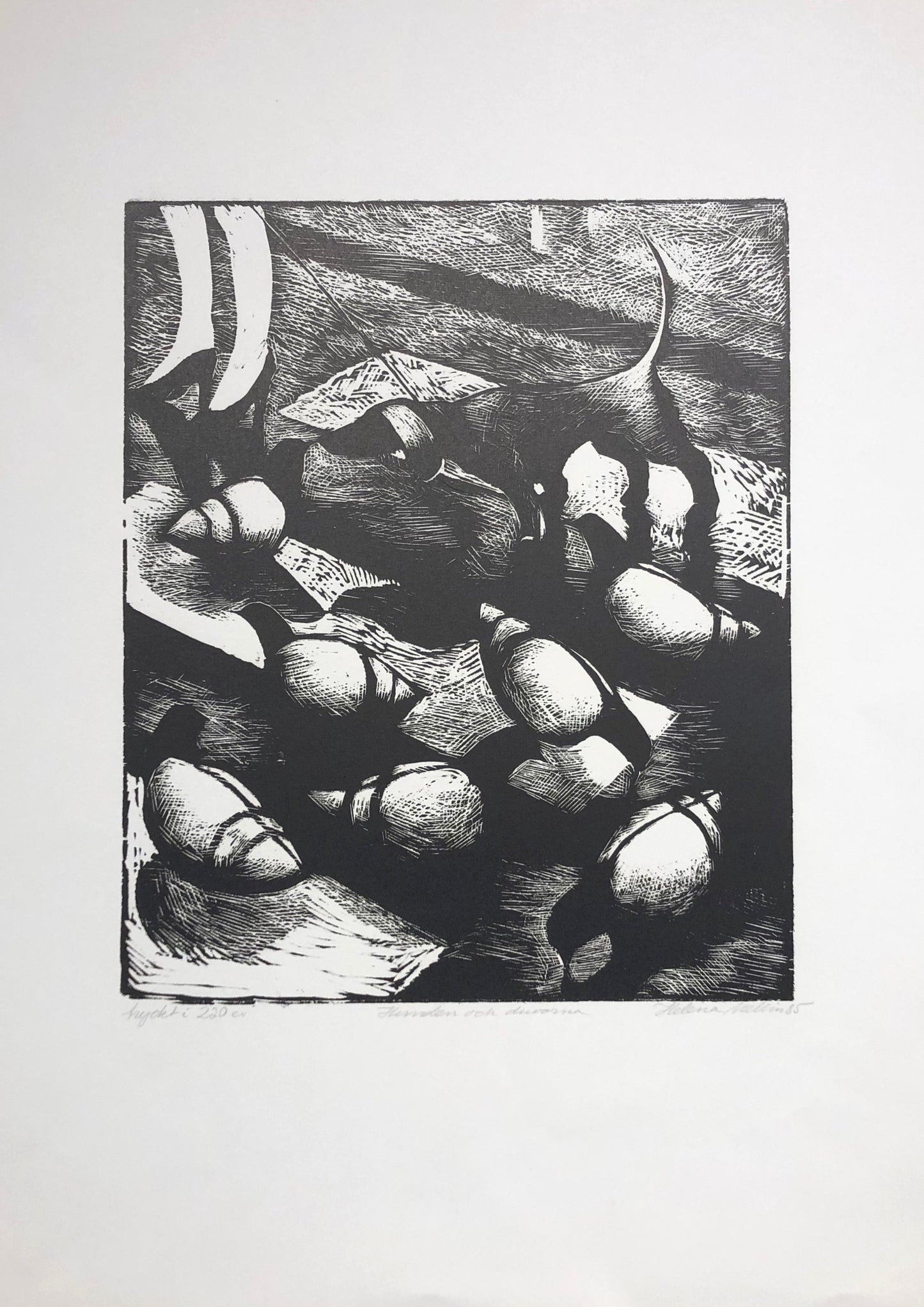 "Hunden och duvorna" Helena Mellin