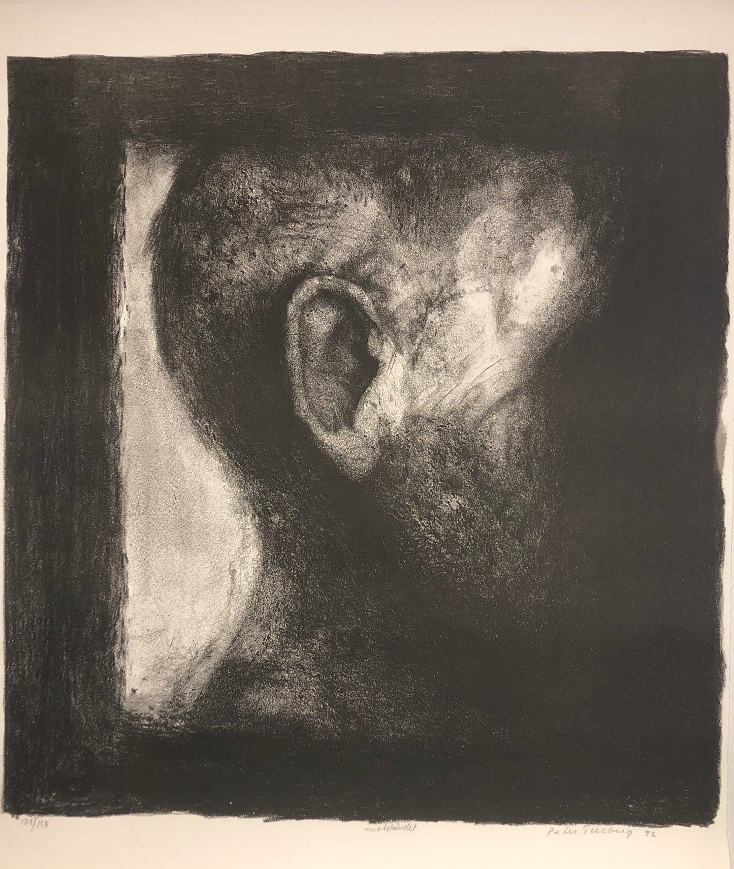 'Motståndet' Peter Tillberg