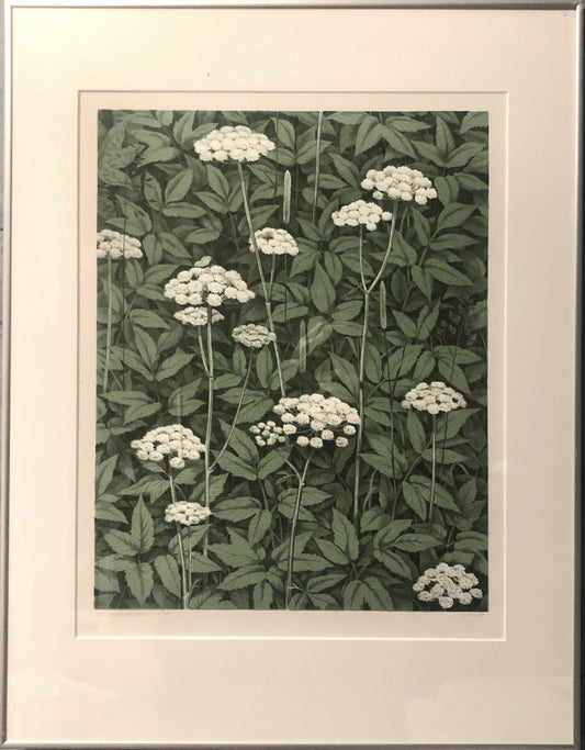 "Om sommarens sköna" Carin Ax