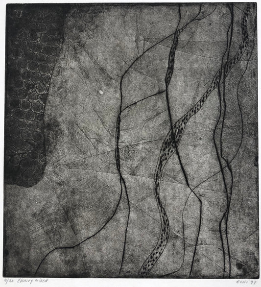 Utan titel, Ewa Echi Åberg